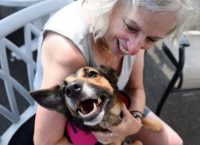 Τα σκυλιά πάνε σινεμά παρέα με τα αφεντικά τους