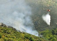 Παλεύουν με τις αναζωπυρώσεις οι πυροσβέστες στην Ηλεία