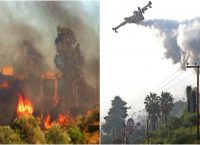 Κασσάνδρα: Μάχη με τις φλόγες δίνουν οι πυροσβεστικές δυνάμεις – Αγωνιούν οι κάτοικοι