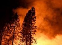 Στη Ζάκυνθο κλιμάκιο της Διεύθυνσης Αντιμετώπισης Εγκλημάτων Εμπρησμού