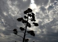 Καιρός: Η πρόγνωση για την Τετάρτη (25/07/18)