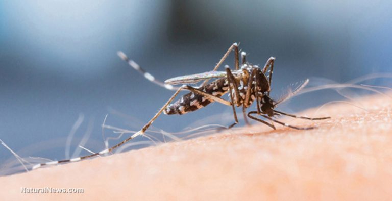 Ξανθός: Η χώρα είναι υγειονομικά ασφαλής