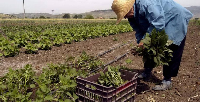 Ένεση ρευστότητας 932 εκατ. ευρώ στους λογαριασμούς 622.000 αγροτών