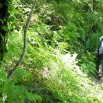 Στην έκθεση περιπατητικού τουρισμού «Tour Natur 2016» στο Ντίσελντορφ  το «Menalon Trail»