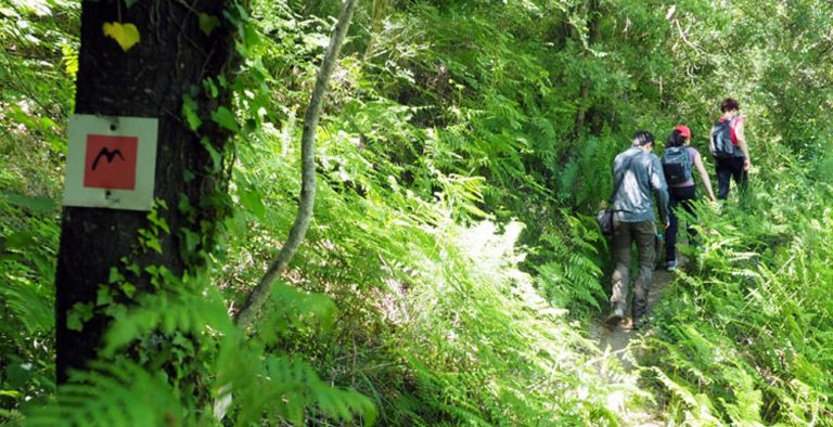 Στην έκθεση περιπατητικού τουρισμού «Tour Natur 2016» στο Ντίσελντορφ  το «Menalon Trail»