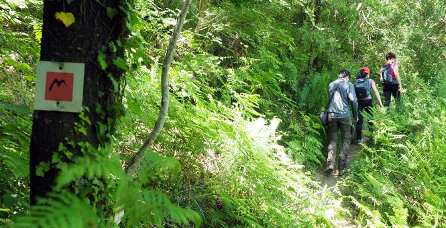 Στην έκθεση περιπατητικού τουρισμού «Tour Natur 2016» στο Ντίσελντορφ  το «Menalon Trail»