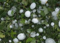 Κακοκαιρία: Μεγάλες καταστροφές στα Τρίκαλα από την χαλαζόπτωση (pics)