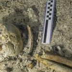 Ελπίδες για γενετικό υλικό στον νέο σκελετό από το ναυάγιο των Αντικυθήρων