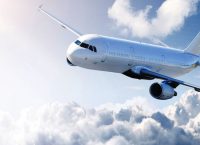 ΗΠΑ: Θανάτωση 70.000 πτηνών για ασφαλείς πτήσεις αεροπλάνων