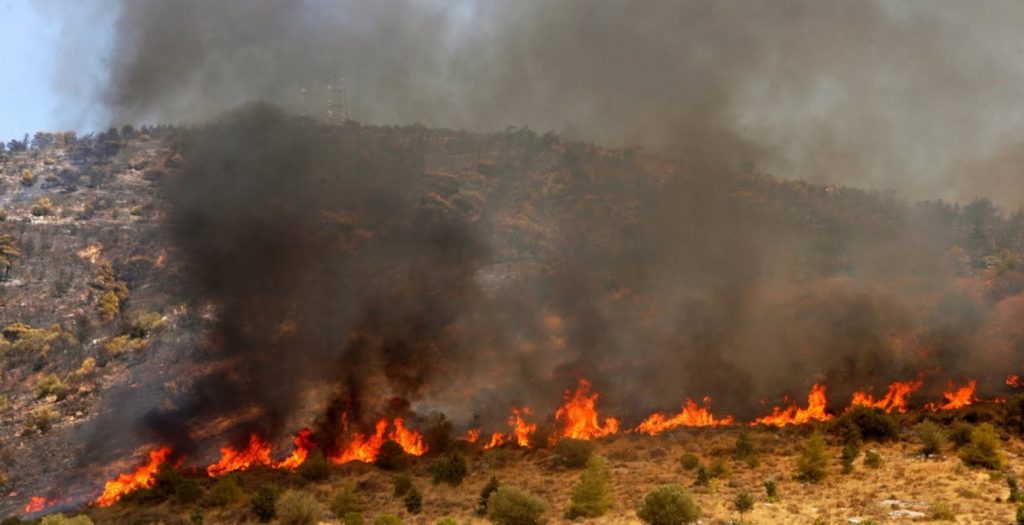 Πυρκαγιά σε δασική έκταση στην Ηλεία