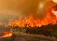 Δήμαρχος Ραφήνας: “Περιφερειακή σύμβουλος πλαστογράφησε έγγραφο για την ευθύνη της εκκένωσης”