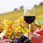 Κλιματική αλλαγή: Σύμμαχος της βρετανικής οινοποιίας