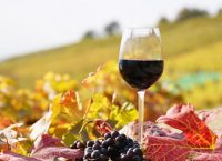 Επιλέξτε το κρασί που ταιριάζει με το φαγητό σας