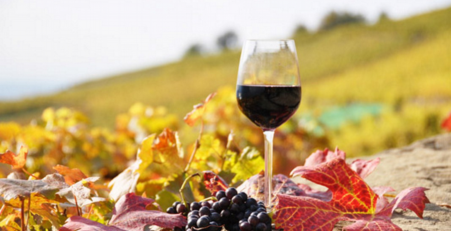 Κλιματική αλλαγή: Σύμμαχος της βρετανικής οινοποιίας