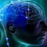 Ανακάλυψαν τα γονίδια που σχετίζονται με την εξυπνάδα – Ο ρόλος των Ελλήνων