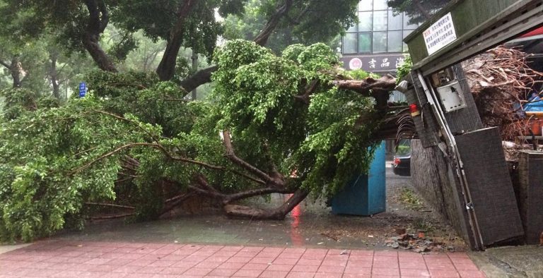 Κίνα: Κατολίσθηση ισοπέδωσε χωριό