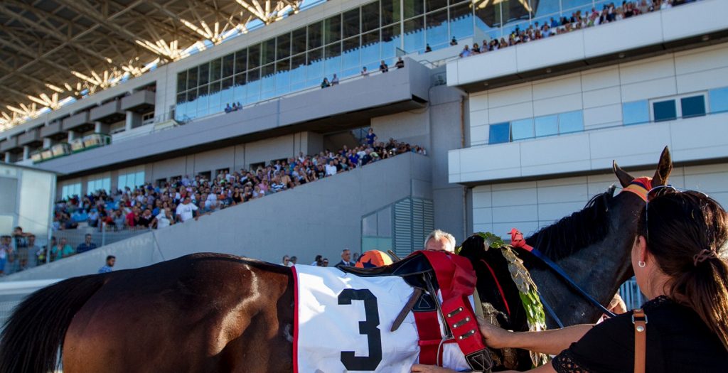 ΟΠΑΠ: Δεύτερη δημοπρασία καθαρόαιμων αλόγων