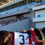 ΟΠΑΠ: Δεύτερη δημοπρασία καθαρόαιμων αλόγων