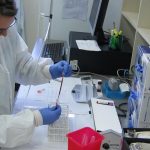 Καρκίνος: Μικρότερος ο κίνδυνος για τις πολύτεκνες οικογένειες