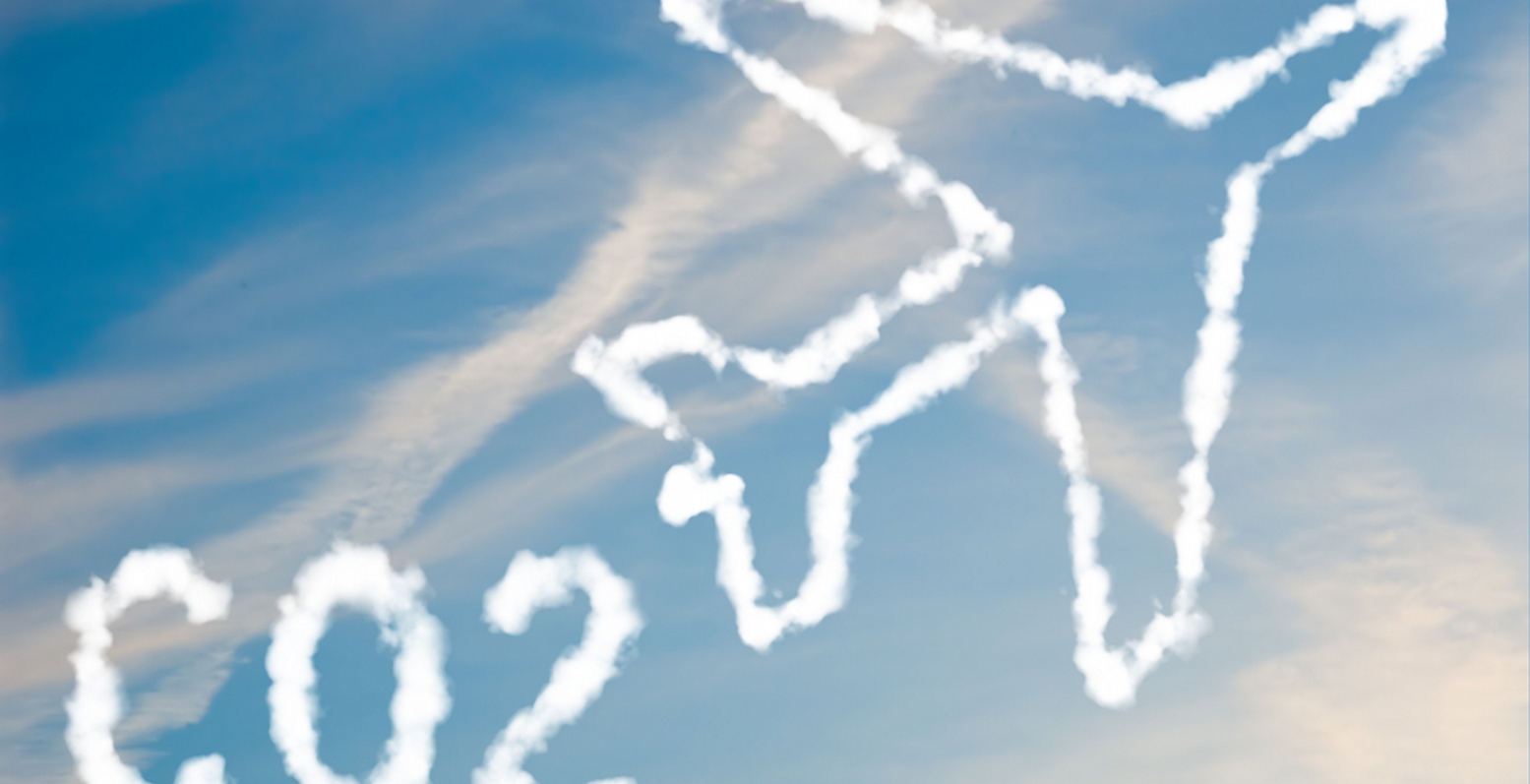 ICAO: Σύστημα αντιστάθμισης εκπομπών άνθρακα στις αερομεταφορές
