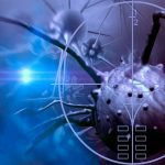 Ανοσοθεραπεία, η σύγχρονη προσέγγιση στην ογκολογία