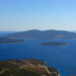 Πεταλιοί: Πέρασαν στην οικογένεια Δαυίδ