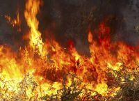 Πολύ υψηλός ο κίνδυνος πυρκαγιάς την Τρίτη