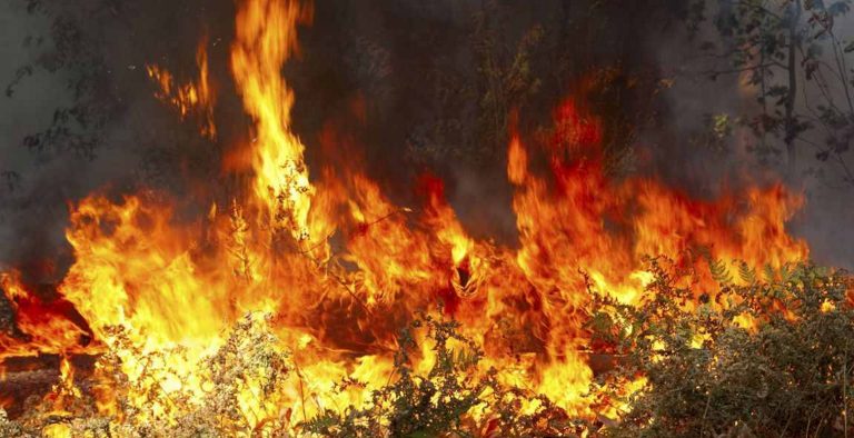 Πολύ υψηλός ο κίνδυνος πυρκαγιάς την Τρίτη