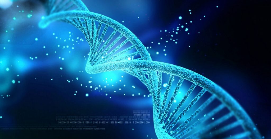 Το DNA και η διατροφή συνδέονται με τη μακροζωία