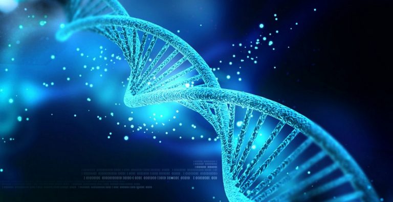 Το DNA και η διατροφή συνδέονται με τη μακροζωία