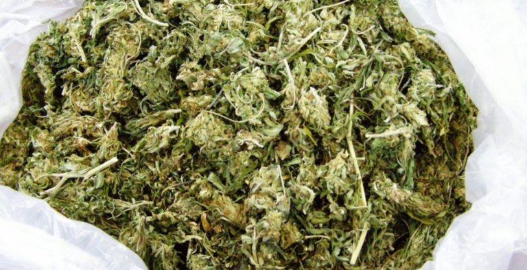Σύλληψη τεσσάρων ατόμων στην Καστοριά για ναρκωτικά