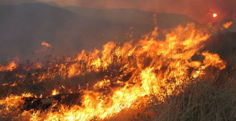 Ρόδος: Εκτός ελέγχου φωτιά στα νότια του νησιού
