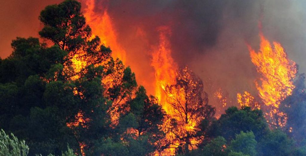 Πολύ υψηλός κίνδυνος πυρκαγιάς – Δείτε τον χάρτη με τις περιοχές που κινδυνεύουν περισσότερο