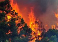 Πολύ υψηλός κίνδυνος πυρκαγιάς – Δείτε τον χάρτη με τις περιοχές που κινδυνεύουν περισσότερο