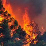 Φωτιά σε ορεινή περιοχή του Χάρακα Ηρακλείου