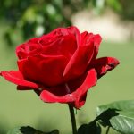 Η Σελήνη κάνει ένα πολύ ερωτικό εξάγωνο με τον Δία από τον Σκορπιό ! Δείτε τι θα συμβεί σε όλα τα ζώδια !