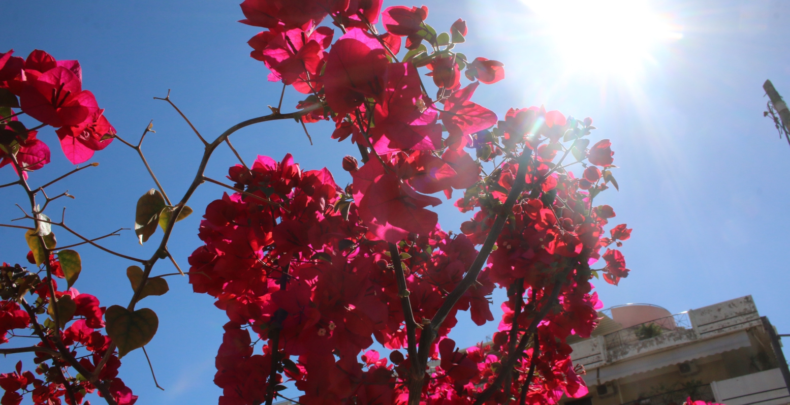 Καιρός: Έως 19 βαθμούς Κελσίου η θερμοκρασία σήμερα
