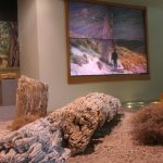 Κινέζικο National Geographic: Αφιέρωμα στο Απολιθωμένο Δάσος της Λέσβου