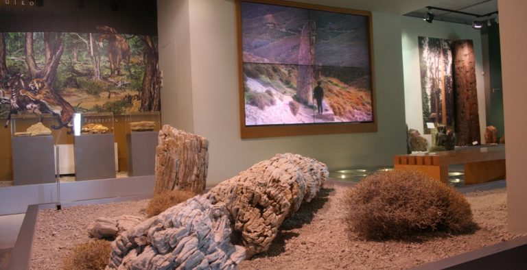 Κινέζικο National Geographic: Αφιέρωμα στο Απολιθωμένο Δάσος της Λέσβου