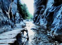 Κλειστός σήμερα ο Εθνικός Δρυμός Σαμαριάς