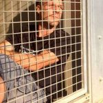 Ρ. Γκαγιάρ: Κλείνεται σε κλουβί για να σώσει 300 αδέσποτα!