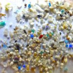 Καναδάς: Απαγόρευση της πώλησης προϊόντων περιποίησης που περιέχουν μικροπλαστικά