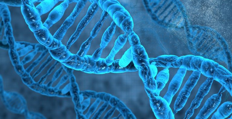 Βιοχημικοί άρχισαν να τροποποιούν το DNA τους