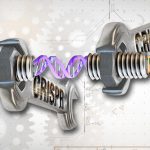 CRISPR: Γενετική τεχνική αποκατέστησε εν μέρει την όραση τυφλών ζώων