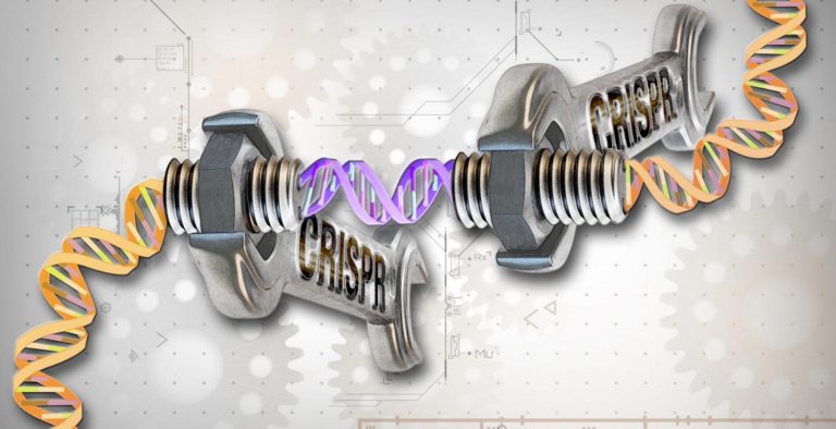CRISPR: Γενετική τεχνική αποκατέστησε εν μέρει την όραση τυφλών ζώων