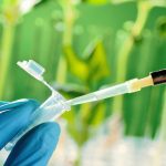 Αμαλιάδα: Συνεργασία της Ομάδας Παραγωγών με το Eδαφολογικό Εργαστήριο