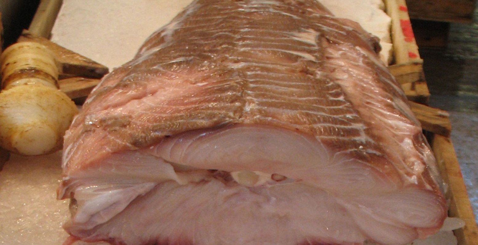 Ιχθυοπώλες πλουτίζουν με νοθεία – Πωλούν σαπουνά αντί για γαλέο