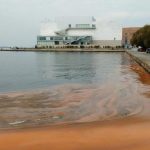 Τεράστιο το πρόβλημα διάβρωσης των ακτών του Θερμαϊκού