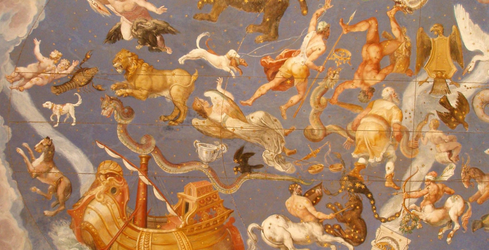 Οι ασυνήθιστες συμπεριφορές των ζωδίων