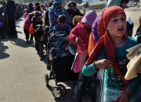 Απέλαση περίπου 1.000 αλλοδαπών από την Ελλάδα τον Ιούνιο